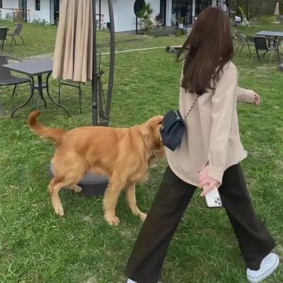 习总书记的初心